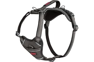 HALTI Anatomy Dog Harness with Handle - Provides Your Dog Freedom of Movement for Comfortable Walking. 3 Lead Attachment Points, Neoprene Padded, Adjustable, and Reflective (Size Large, Grey)