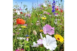 Maelsa® FLEURS ANNUELLES EN MELANGE SAUVAGES - annuelles et vivaces sachet de 2 grammes semences