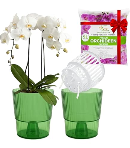Lot De 12 Pots à Orchidées, Pots De Fleurs Clairs, Pots De Fleurs En Plastique Transparent Avec Trou De Drainage Pour Orchidées, Semis Et Plantes En Pot