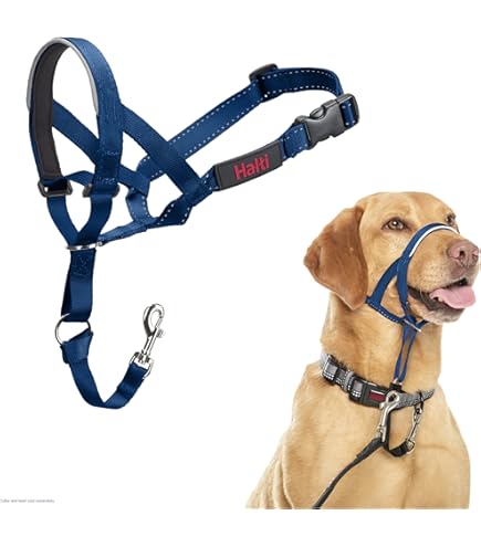 Dog Harness Amazon Halti Retractable Dog Leash HALTI Optifit