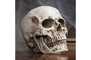 FS-PINGXIANG Human Skull Model - L12 x W15 x H14.5cm / 4.72 x 5.9 x 5.71 Inches - Realistic Resin Bone Medical Skeleton - Replica Life-Size Head for Anatomical Medical Teaching & Halloween Party Decoration