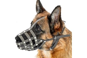CollarDirect Dog Muzzle German Shepherd Dalmatian Doberman Setter Leather Basket Medium Large Breeds (Grey, Large)