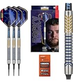 UK Darts ROCK　TERMINATOR1 Silver 20g Target Darts Josh Rock Gen 1 Steel Tip Swiss Point Darts, 90