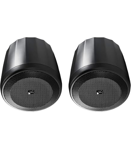 JBL Professional C65P/T Compact Full-Range Hanging Pendant Speaker