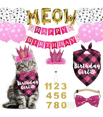 Bougies D'anniversaire En Forme De Patte De Chat En Forme De Chiffre 1 - Bougies D'anniversaire Roses Pour Gâteaux - Décoration De 1er Anniversaire Pour Filles Et Animaux Domestiques - Décoration De