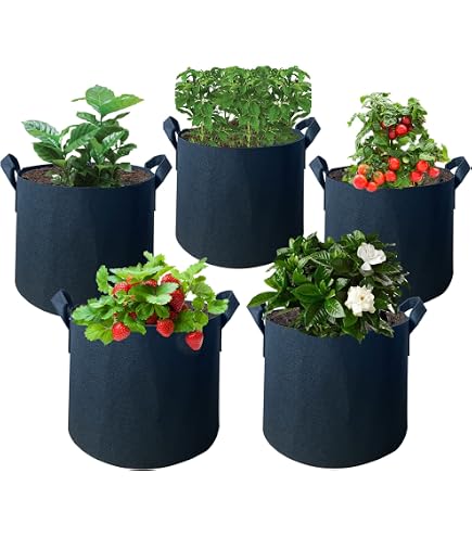 Vasi Da 2 Galloni In Plastica Nera – Set Da 5, Termoformati, Per Piante E Fiori, Landmark Plastics