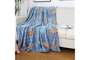 Aedcbaide Kuscheldecke für Kinder, Dinosaurier Glow in The Dark Kuscheldecke für Bett, Super Fleecedecke, Weiche Flauschig Plüsch graue Decke für Mädchen Jungen, Warme Geschenke für Geburtstag