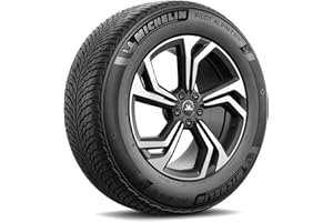 Neumático Invierno Michelin Pilot Alpin 5 SUV 265/60 R18 114H XL