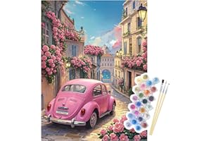 NPCSWXQ Malen Nach Zahlen Erwachsene, Sonnenuntergang rosa Rosen Auto Dekoration DIY Paint By Numbers Adult Kit für Haus Wand Schlafzimmer Studie oder Büro Dekoration Geschenk 40x50cm