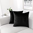 NiNi ALL Decorative Throw Pillow Covers Pack of 2 Velvet Throw Pillow Cases for Couch Pillows Cover Bedroom Living Room Outdoor, Pillow Covers 12x12 Inch Black