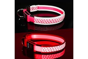 Light Up Dog Collars DQGHQME Led Dog Collar USB Rechargeable Safety Lighted Dog Collar for Small Medium Large Dogs，Flashing Lights for Dog Walking at Night Glow in The Dark Camping Dog Collars.