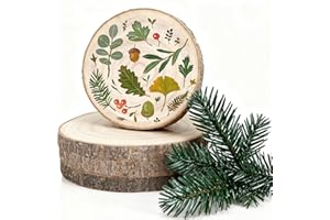 LEDEBOUK 4 Pezzi Dischi Legno Naturale da Decorare, Diametro 18-20 cm, Spessore 15mm, Fette di Legno con Corteccia, Senza Fori, Adatti per Pirografo, Natale, Pasqua