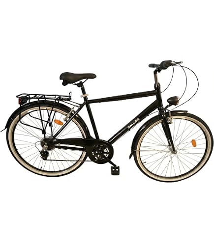 Pegasus Piazza 21 28 Inch Men's Bike 21 Speed Derailleur Gear