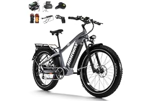 ‎HIMIWAY Himiway Zebra/D5 All Terrain E-Bike 26"×4" Elektrisches Fatbike 48V 20AH E-Mountainbike Herren Damen bis zu 128 KM 25 Km/h 250W Motor 7 Gänge StVZO Konformität Hydraulische Scheibenbremsen