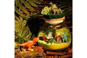 Winnrok Dinosaur Terrarium Kit