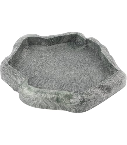 Ciotola Per Rettili Con Design Roccia - Verde O Blu, Per Tartarughe E Lucertole, Taglia S O M - Foto 12
