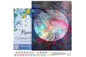 Figured'Art Peinture par Numéro Adulte avec Cadre Pleine Lune aux reflets multicolores - Activité Manuelle Kit de Loisir Créatif DIY Numéro d'Art Complet - 40x50cm toile tendue sur châssis