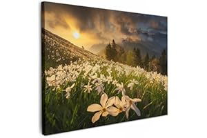MuchoWow© Impression sur Toile Peinture 70x50 cm Tableau Mural Decoration Salon Reproductions de Tableaux Champ de fleurs - Collines - Coucher de soleil - Montagne - Nature - Blanc