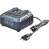 Amazon-Marke: Denali by SKIL, Standard-Ladegerät 20 V, Blau