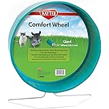 Kaytee Comfort Exercise Wheel, 12-inch, for Chinchillas, Rats (Assorted Colours)