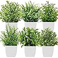 Roqueen 6 Pack Small Artificial Plants with Pot, Plastic Mini Fake Plants for Table Shelf Bathroom Office Home Decoration