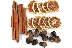 TSLBW Decoración navideña de frutas secas, 10 rebanadas de naranja, 8 palitos de canela y 10 borlas artificiales con tapa de borla para decoración de guirnalda de árbol de Navidad