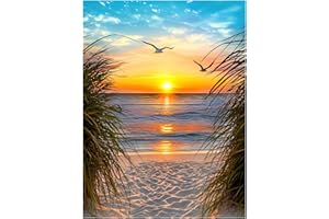 NPCSWXQ Malen Nach Zahlen Erwachsene Kit Anfänger,Strand Sonnenuntergang Öl-Acryl-Malerei Basteln Erwachsene Paint By Numbers Adult für Home Schlafzimmer Studie oder Büro Dekoration Geschenk 40x50cm