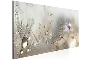 murando Acrylglasbild Pusteblume 135x45 cm 1 Teilig Wandbild auf Acryl Glasbilder Kunstdruck Moderne Acrylglas Platte Wanddekoration Geschenke Heimdekoration Glasbild Blumen Natur grau Pusteblumen