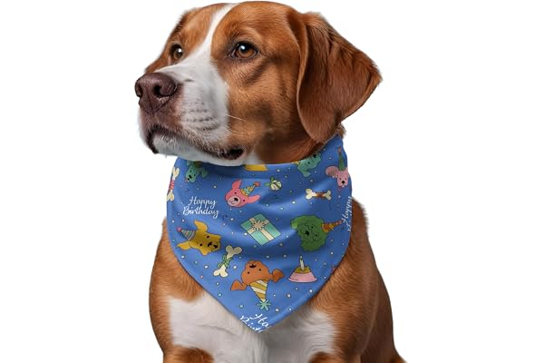 Bandana for Dogs (Set of 2) These Stunning, Gorgeous Design Dog Bandanas are The Perfect Styling Accessory for Dogs Large, Medium & Small. Tie a Knot. (XL, HBD (Blue) & Pista Popsicle)