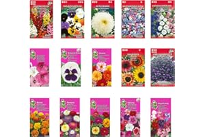 NOJAUS SĖKLOS Nojus - Set di semi di fiori - Semi di fiori 15 varietà - Semi di fiori annuali e biennali - 15 confezioni - Semi di piante colorate - Semi di fiori di campo - Bustina di semi di fiori