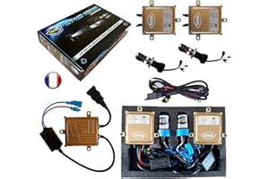 VEGA Kit HID Bi Xenon Marca Francaise H4 HILO 4300K 55W Slim DSP AC Lampadine a base metallica