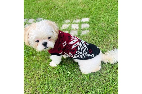 Lulala Winter Dog Sweater for Small Dogs Warm Knit Pet Clothes for Puppy & Kitten Holiday Sweater for Shih Tzu, Pomeranian, Maltese Unisex Pet Outfit for Boys & Girls
