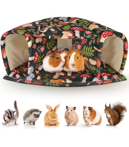 MOAZIFI Cavia's accessoires, klein dierenhuis, knuffelhol, cavia's, verstopplaats, wasbaar, cavia's, accessoires, voor fretten, chinchilla's, egels, hamsters, glijders, ratten, groen L