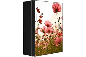 ‎BANJADO banjado® XXL Medizinschrank abschliessbar mit Motiv Schmuckkörbchen 35x46x15cm - großer Arzneischrank/Medikamentenschrank aus Metall zur Medikamenten Aufbewahrung - Apothekerschrank mit 3 Schlüsseln