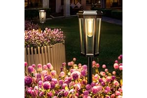 MAGGIFT Luci solari da giardino, confezione da 2 luci LED da giardino, alimentate ad energia solare, impermeabili, accensione e spegnimento automatici, per cortile, prato, paesaggio, patio, vialetto