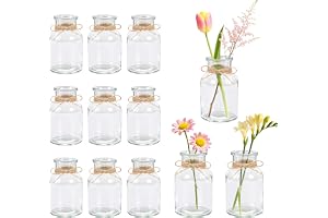 BTSD-home 12 styck 125ml blomvaser små vaser för bordsdekoration
