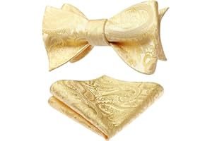 HISDERN Papillon da Uomo Floreale Paisley e Tasca Quadrata, Cravatta a Farfalla e Set di Accessori per Fazzoletti per Feste di Matrimonio