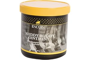 LINCOLN ELECTRIC Lincoln Muddy Buddy Ointment 500g