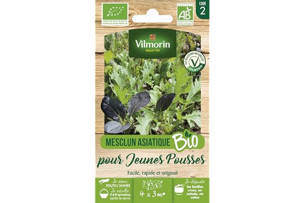 Mesclun Asiatique pour Jeunes Pousses - BIO