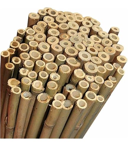Supporti Per Piante Gutta Bambooplast | Canne In Bambù Con Rivestimento PVC | Ø11mm | Altezze 60-180 Cm - Foto 11