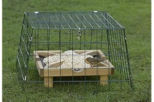 HONEYFIELD'S Honeyfields Ground Feeding Sanctuary, Black