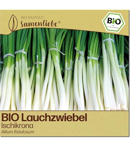 knstliche pflanzen im topf Knstliche Deko-Pflanze im Topf  Herbst Edition kaufen  Print Home
