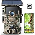CEYOMUR 4K UHD Solar Wildlife Camera, WiFi 6 Trail Camera with 5200mAh Lithium Battery Rechargeable, Wildlife Camera with 120° Detection Angle Night Vision Motion Activated with 32GB SD Card