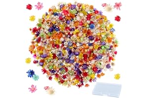 Scettar 280 Pezzi Fiori Secchi per Resina, Candele e Artigianato Fai da Te - Con Scatola, Decorativi, Piccola Stella Fiore per Arte in Resina