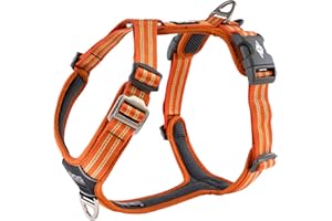 DOG Copenhagen Comfort Walk Air Harness, Orange Sun, Size M