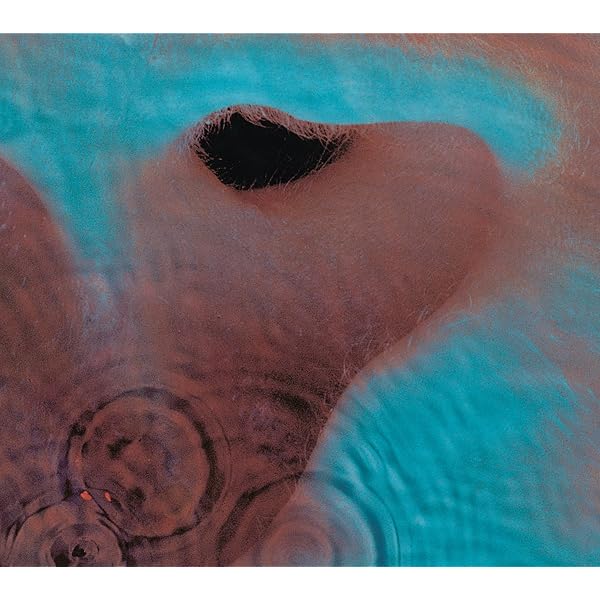 US盤Pink Floyd Atom Heart Mother & Meddle US盤Pink Floyd Atom Heart Mother & Meddle US盤Pink Floyd