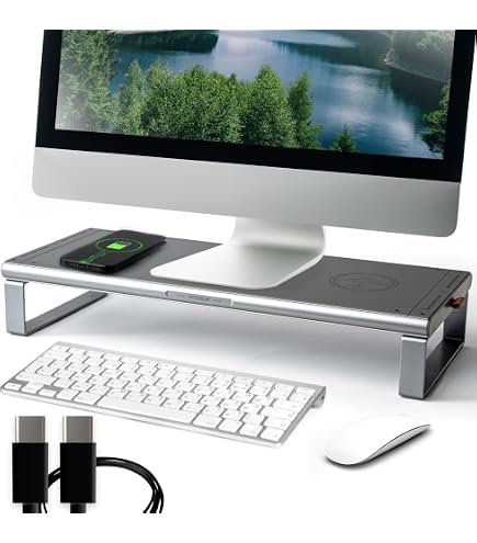 Mywall Monitorständer HT46L Aus Alu – Schlankes Design, 4 USB 2.0 Anschlüsse, Für Monitore/Laptops Bis 10 Kg (11-32 Zoll)