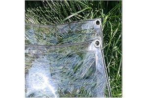AMSXNOO Bâche Transparente avec Oeillets, 0.3mm Bâche Claire en PVC Imperméable à l'eau, Couverture Végétale Polyvalente pour Gazebo Extérieur Barbecue (Size : 2.4x2m)