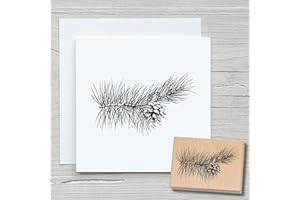 ‎NEWSTAMPS DIE STEMPELMACHER NEWSTAMPS Stempel Kiefernast Motivstempel groß aus Holz & Gummi zum Karten basteln, Holzstempel, Weihnachten, Weihnachtskarte, Advent, Scrapbook, Textilstempel, Deko, Kinder
