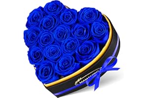 MAMAMIKO 16 Rosa Eterna Natural Preservada en Caja Corazón，Flores Eternas, Rosas Naturales Regalos Originales para Mujer, Mamá, Novia, Día de la Madre, Día de San Valentín, Aniversario, Navidad(Azul)